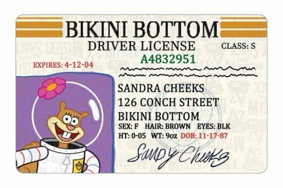 Essbares Tortenbild - Führerschein - Spongebob Sandy (mit eigenem Namen möglich!)